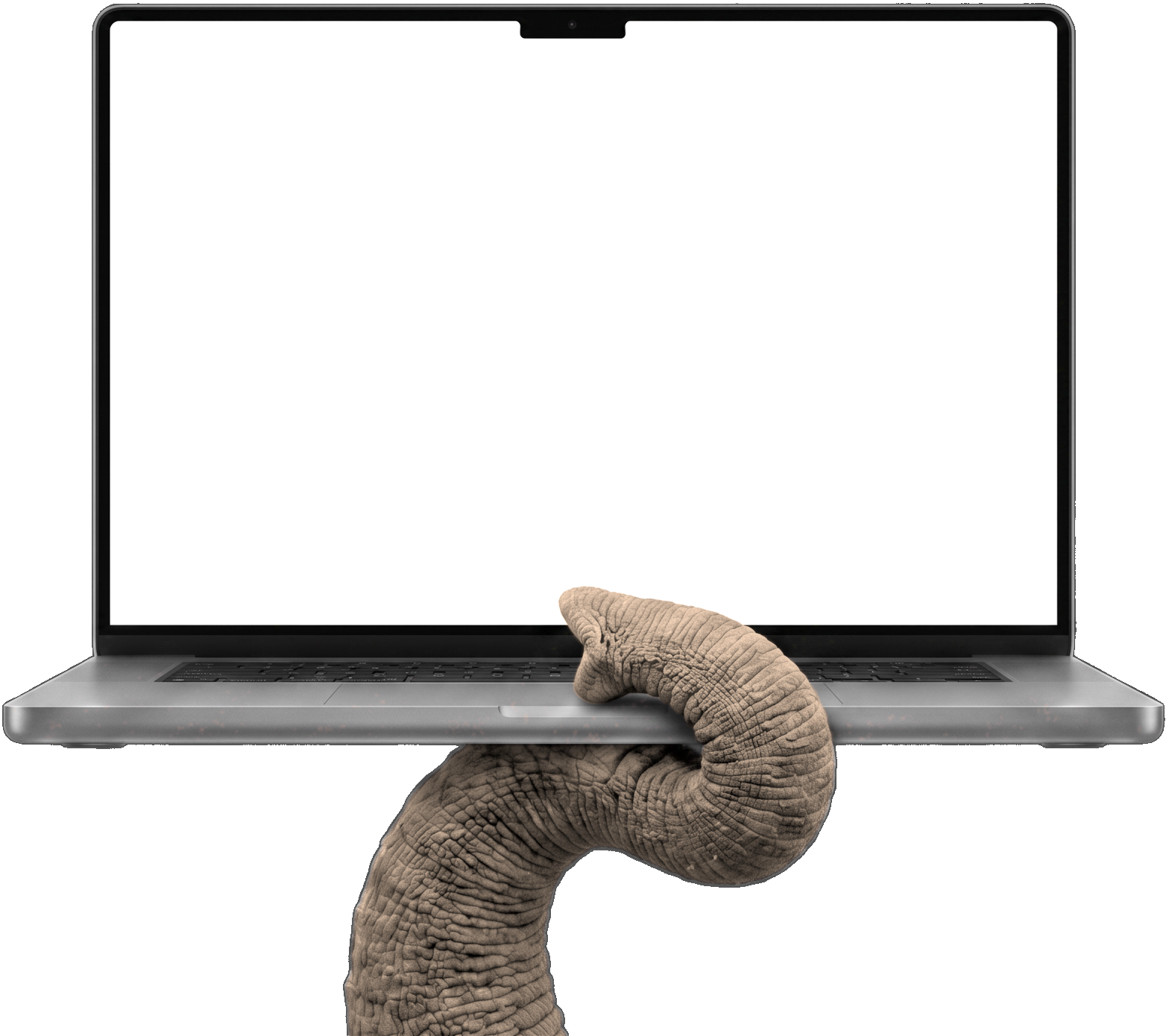 Elephant trunk holding a laptop running Lexi
